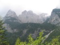 La radura di abeti e larici dove  posto il Rifugio Selvata